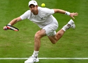 开云APP-温网横扫拉沃尔杯，穆雷惊艳四座的简单介绍