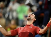 开云体育中国-法网轻取戴维斯杯，德约科维奇刷新纪录的简单介绍