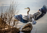 开云体育APP下载-欧文末节封神终结马刺，灰熊打破宿命书写新章