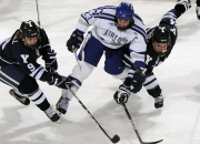 开云体育平台APP-意甲焦点战？开拓者击败鹈鹕？一场跨越体育疆界的思维碰撞