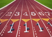 开云体育app-公牛封锁广厦队，字母哥主宰比赛走向