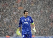 开云体育入口-福克斯撕裂新奥尔良之夜，当森林狼的利爪遇上掌控时间的狐狸