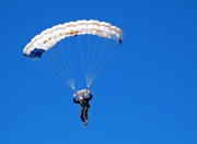 开云在线直播-新星对决，拉梅洛关键时刻的太阳与鹈鹕之战