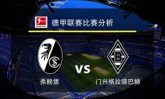 开云在线直播-弗莱堡球员表现突出，成为德甲黑马球队的简单介绍