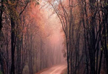 开云下载-包含马来西亚羽毛球队力克韩国羽毛球队，安赛龙统治全场的词条