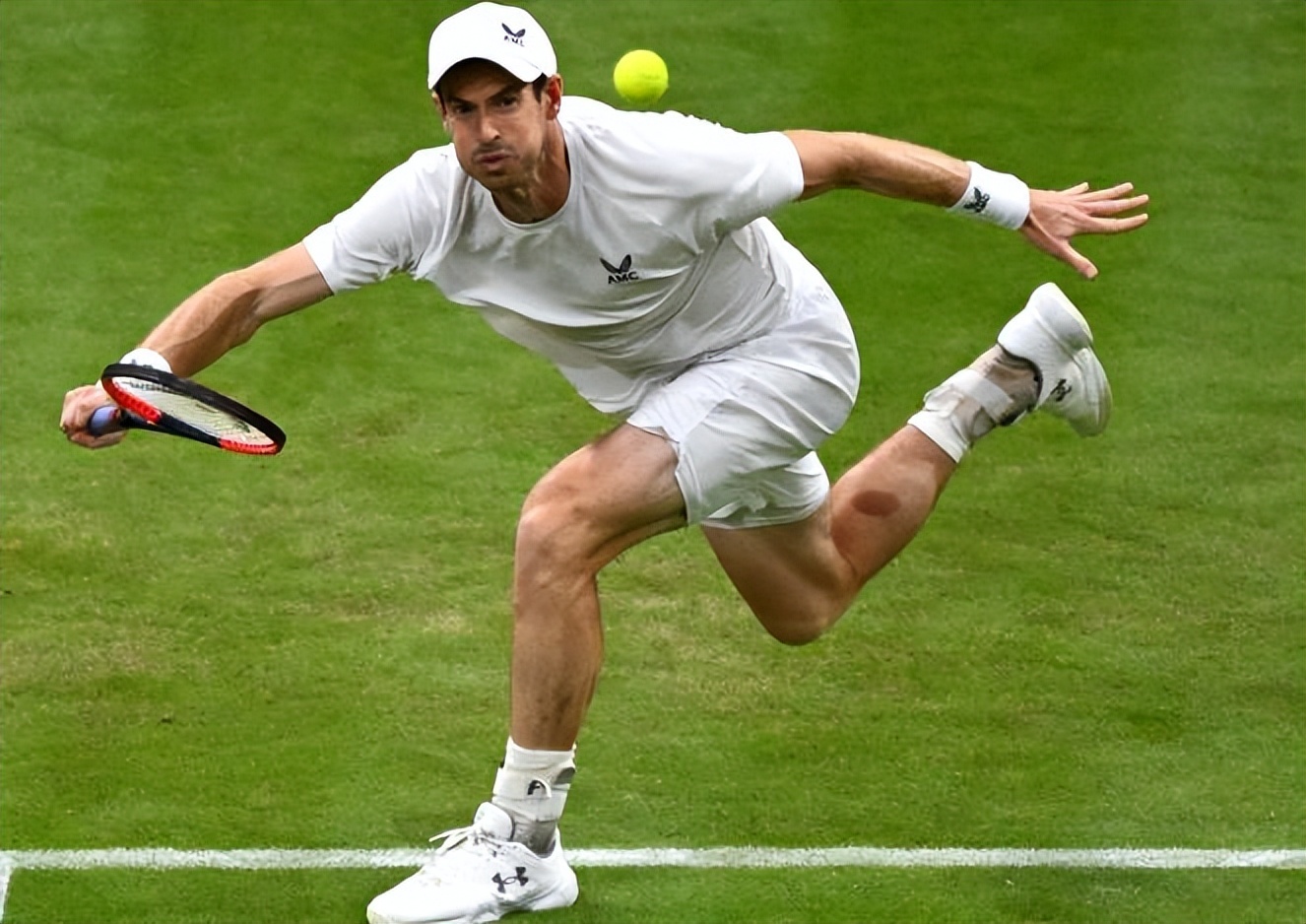 温网横扫拉沃尔杯，穆雷惊艳四座的简单介绍