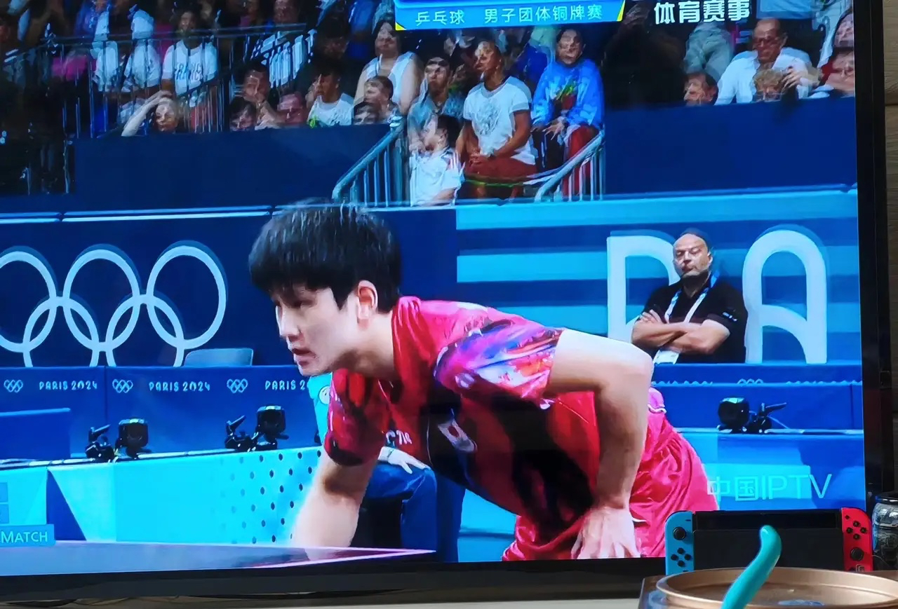 法国队翻盘瑞典队，张本智和惊艳四座的简单介绍