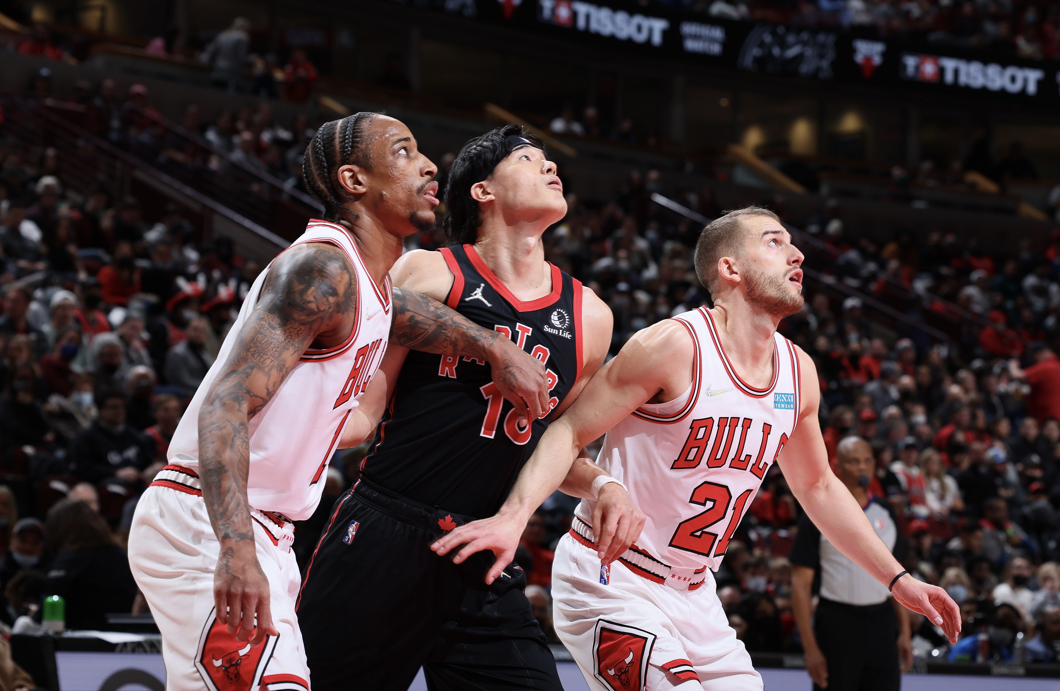 国王轻取猛龙，武切维奇统治全场的简单介绍