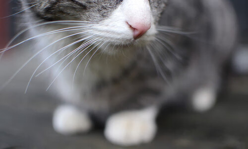 数据革命，巴斯托尼如何用全面爆炸的表现，重新定义美英大战的战术维度