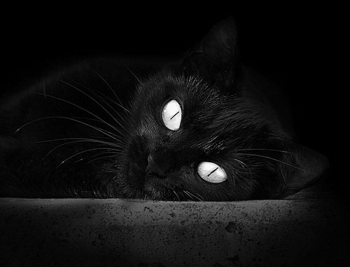 欧冠决赛焦点战启示录，广东队如何以冲垮太阳之势重塑竞技哲学