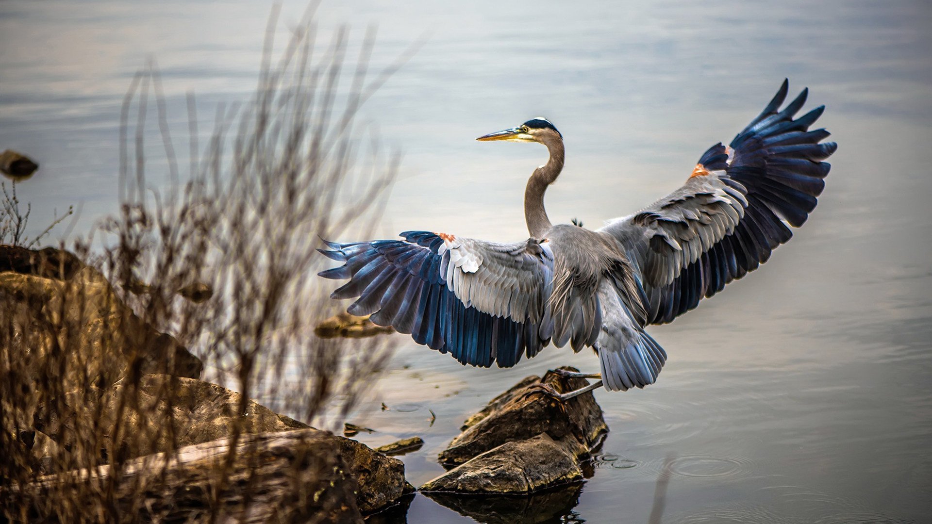 欧文末节封神终结马刺，灰熊打破宿命书写新章