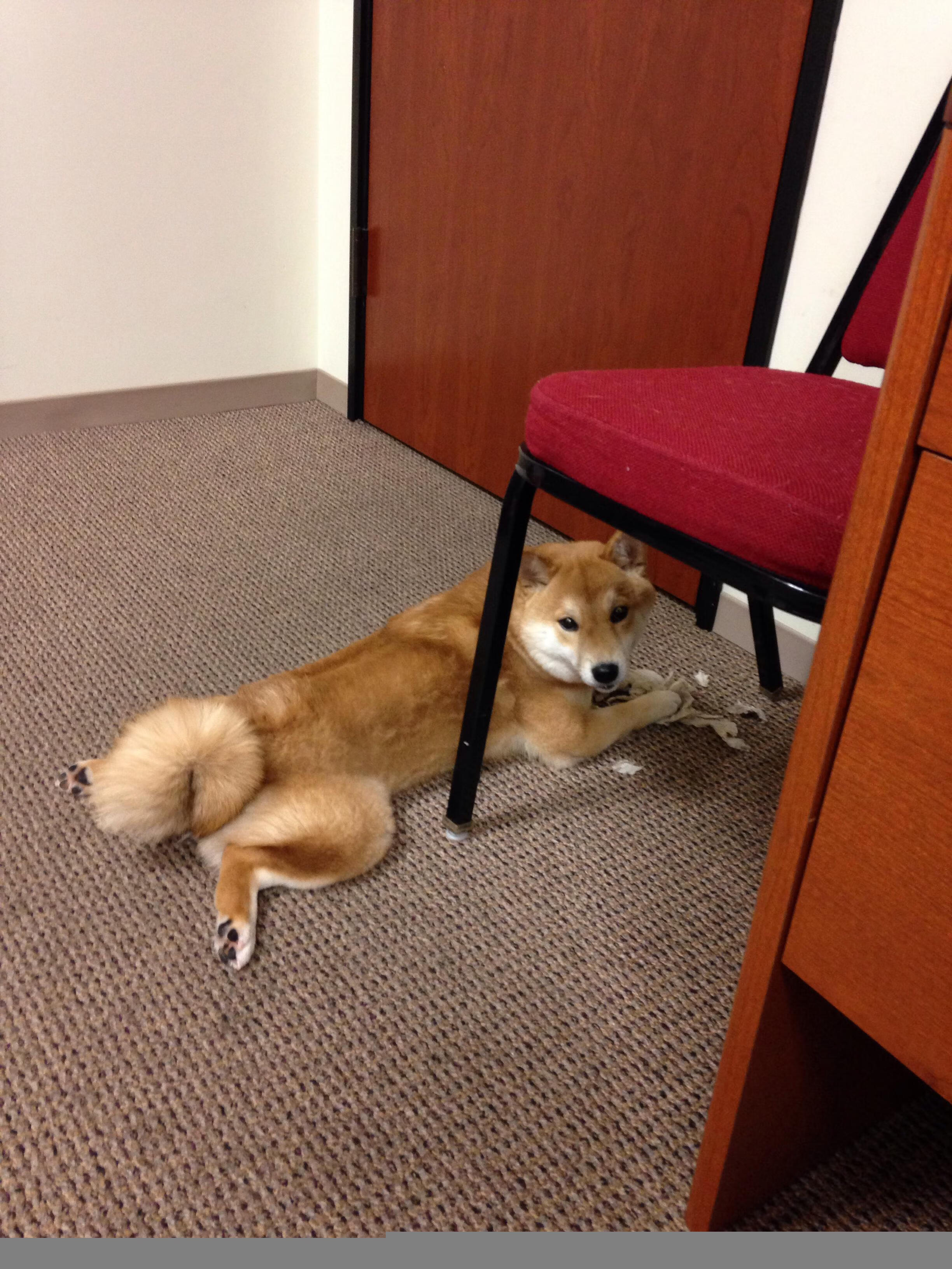 墨西哥横扫爱尔兰，罗德里戈成为关键先生，一场跨越文化的足球对话