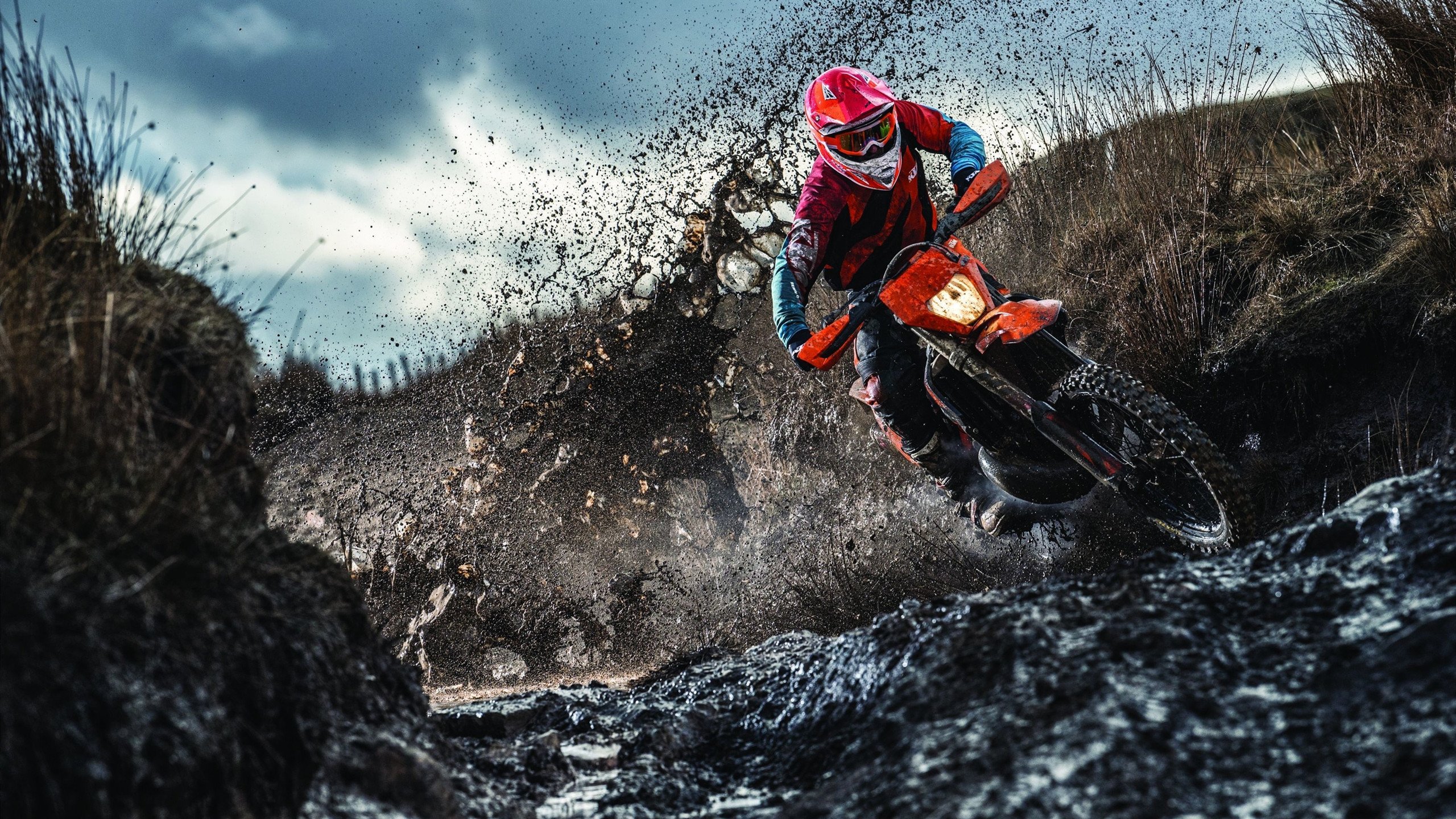 战术压制与个人典范,快船体系如何为杰伦格林提供教科书式成长蓝图